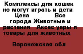 Комплексы для кошек, но могут играть и дети › Цена ­ 11 900 - Все города Животные и растения » Аксесcуары и товары для животных   . Воронежская обл.